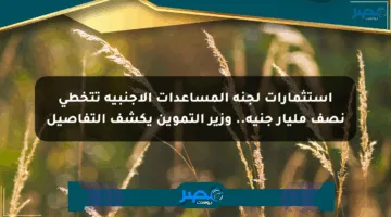استثمارات لجنة المساعدات الأجنبية تتخطى نصف مليار جنيه.. وزير التموين يكشف التفاصيل